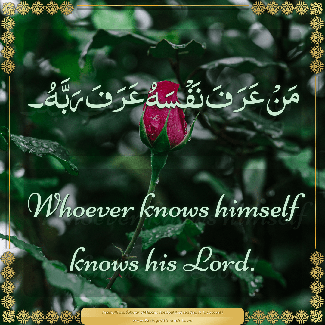 Whoever knows himself knows his Lord.